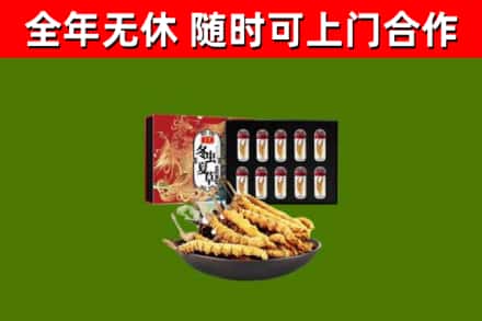 老城烟酒回收冬虫夏草礼盒.jpg