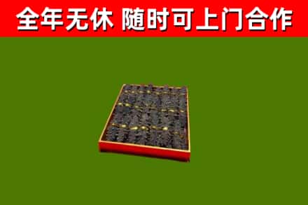 老城回收海参